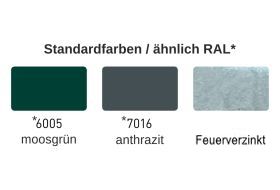 Kombi-Drehflügeltor einflüglig, Typ EDG